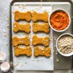 Homemade pumpkin oat dog treats made with three simple ingredients